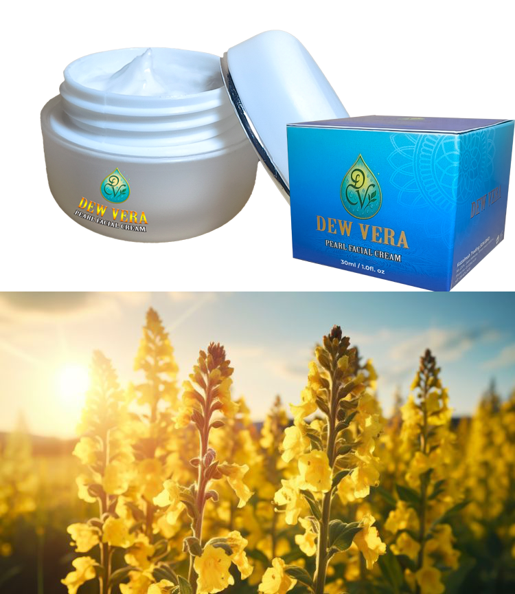 750x440 news sito 2 copyfsfs